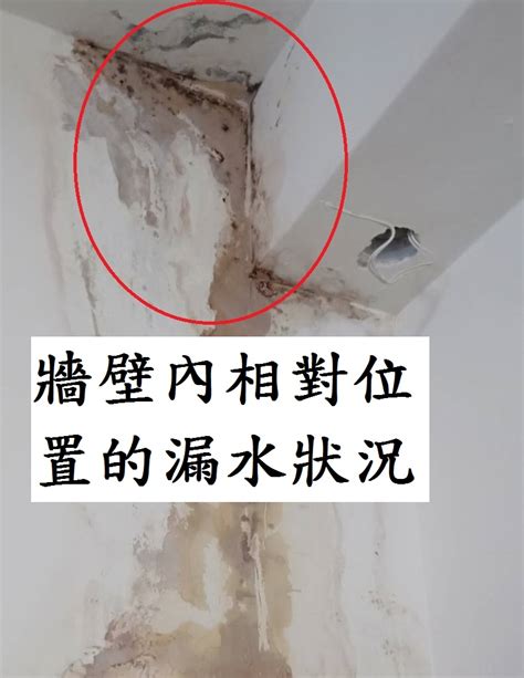 家裡漏水|水管漏水抓漏祕法大公開：超實用方法助你解決漏水困擾